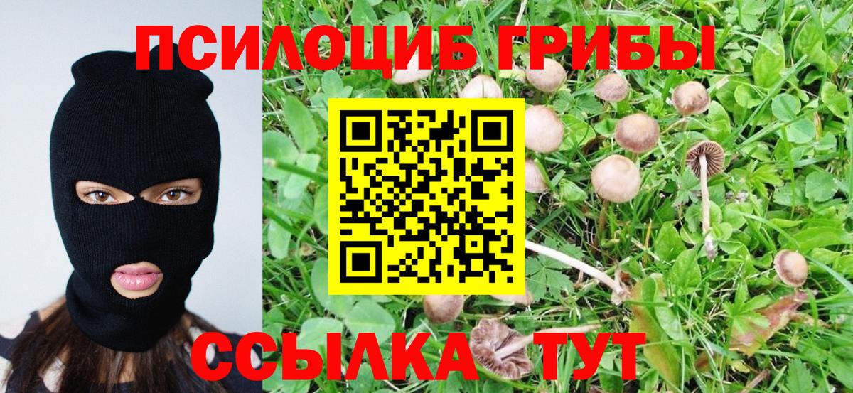 Псилоцибиновые грибы мицелий Нижнекамск